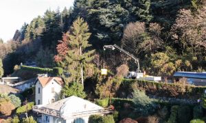 52e0692a5d14e875d82435c64f9d301d